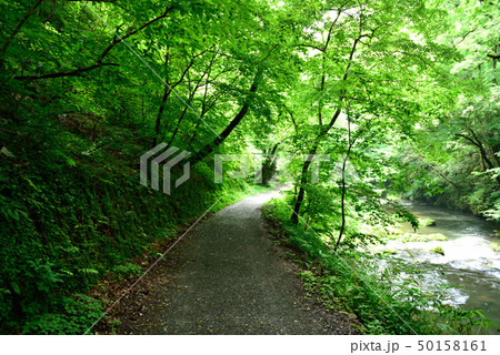 帝釈峡(広島県福山市東城町) 帝釈峡(広島県福山市東城町) 50158161