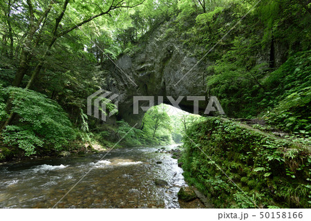 帝釈峡・雄橋(広島県庄原市東城町) 帝釈峡・雄橋(広島県庄原市東城町) 50158166