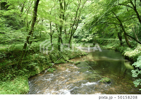 帝釈峡（広島県福山市東城町） 50158208
