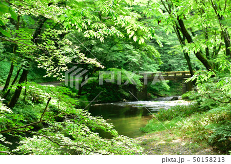 帝釈峡（広島県福山市東城町） 50158213
