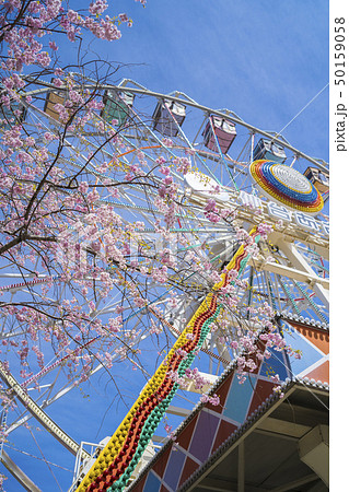 桜と遊園地035 桜と遊園地035 50159058