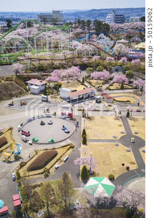 桜と遊園地039 桜と遊園地039 50159062
