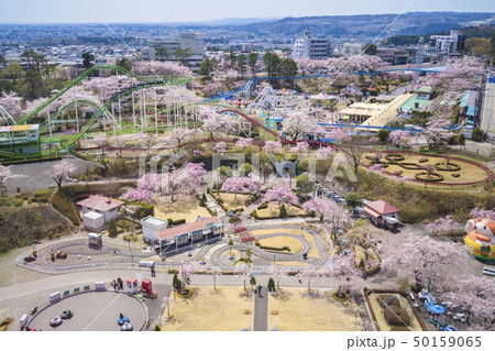 桜と遊園地042 桜と遊園地042 50159065