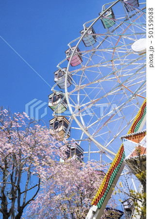 桜と遊園地055 50159088
