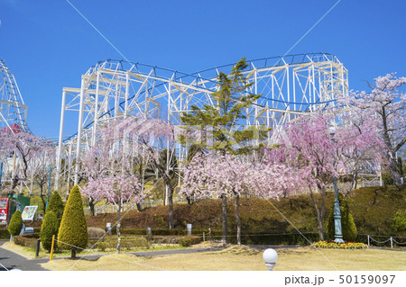 桜と遊園地064 桜と遊園地064 50159097
