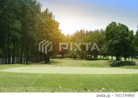 The evening golf course has sunlight in Thailand 50159960