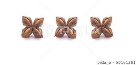 Nuts Incas , sacha inchi peanut seed on white Nuts Incas , sacha inchi peanut seed on white 50161281