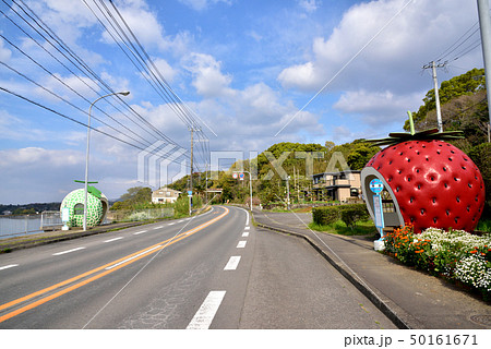 フルーツバス停 平原バス停 国道207号線 左は有明海諫早湾 長崎県諫早市小長井町 フルーツバス停 平原バス停 国道207号線 左は有明海諫早湾 長崎県諫早市小長井町 50161671