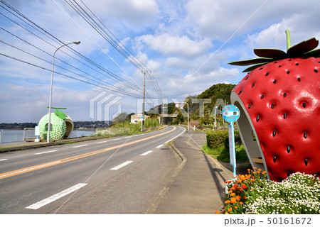 フルーツバス停　平原バス停　国道207号線　左は有明海諫早湾　長崎県諫早市小長井町 50161672