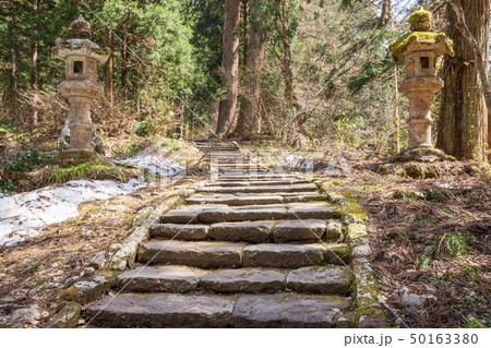 出羽三山神社杉並木 50163380