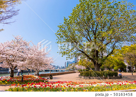 昼の中洲 清流公園 福岡市の歓楽街中洲の昼間の写真素材