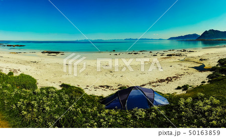 Tent on beach, Lofoten islands, Norway 50163859