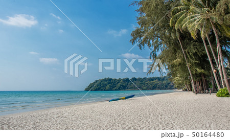 landscape of tropical beach with coconut palm landscape of tropical beach with coconut palm 50164480
