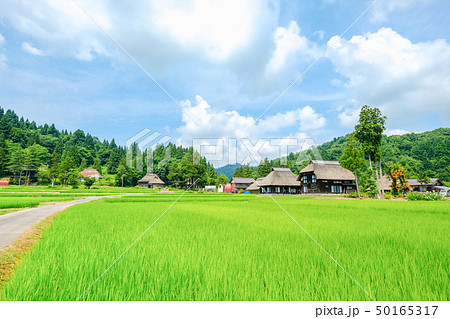 夏の農村風景 (荻ノ島環状集落) 夏の農村風景 (荻ノ島環状集落) 50165317