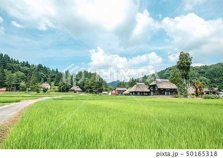 夏の農村風景 （荻ノ島環状集落） 50165318