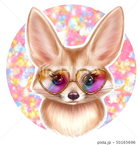 Cute Fennec Fox Cute Fennec Fox 50165696