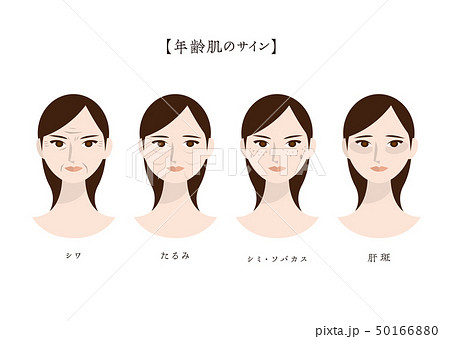 主な女性の肌悩み（年齢肌） 50166880