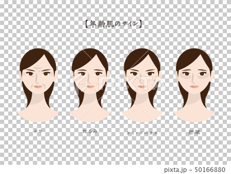 主な女性の肌悩み（年齢肌） 50166880
