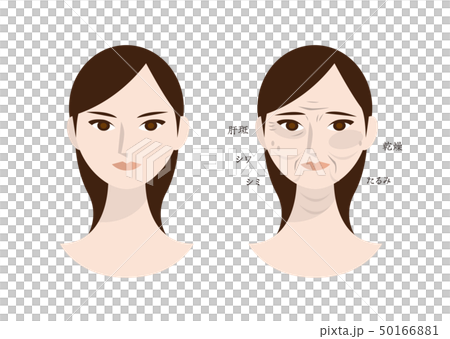 主な女性の肌悩み（年齢肌） 50166881