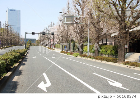 東京都内の道路の風景(東京都千代田区永田町) 東京都内の道路の風景(東京都千代田区永田町) 50168574