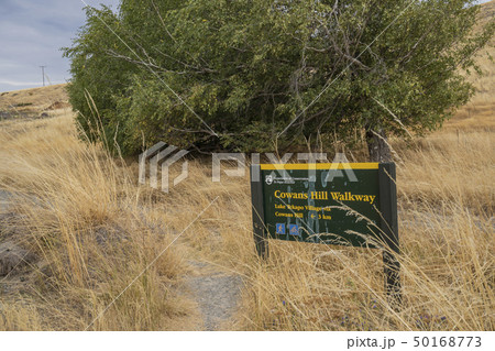 ニュージーランドの街　テカポ 50168773