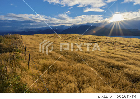 ニュージーランドの街　テカポ 50168784