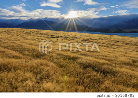 ニュージーランドの街 テカポ ニュージーランドの街 テカポ 50168785
