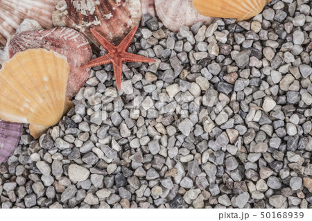 Summer background with seashells 50168939