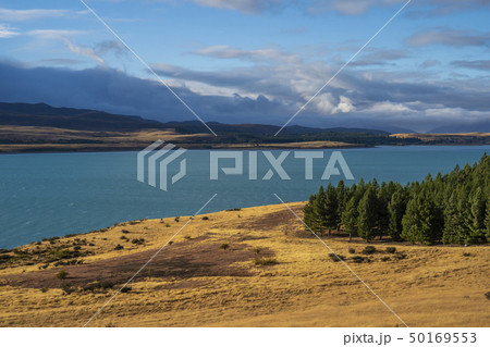 ニュージーランドの大自然　テカポ湖　 50169553