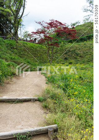 山城 月山富田城 山城 月山富田城 50170309