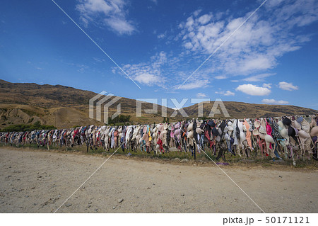 カドローナ　インスタグラムの聖地　ブラジャー 50171121