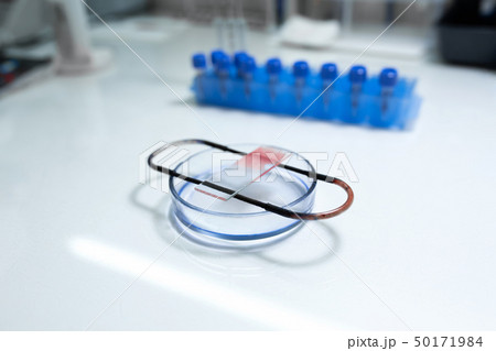 scientist prepare blood sample for research on scientist prepare blood sample for research on 50171984