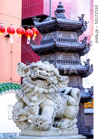 横浜中華街　媽祖廟　狛犬 50172592