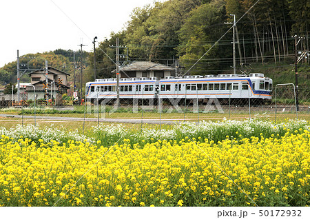 春の貴志川線 50172932