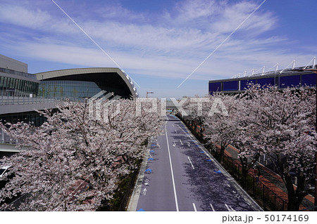 桜とスポーツ施設 桜とスポーツ施設 50174169