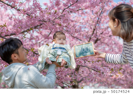 桜と家族写真 桜と家族写真 50174524