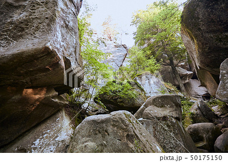 Forest landscape fairytale beech forest and huge stones 50175150