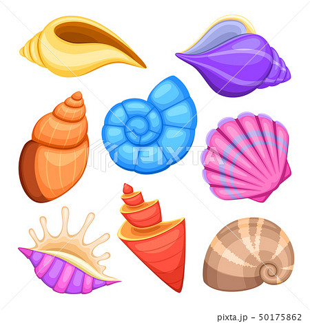 Ocean Cockleshells Cartoon Sea Shells Vector のイラスト素材