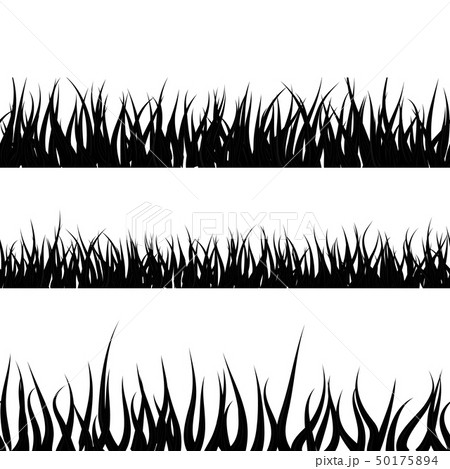 Black detailed grass silhouette, seamless borders Black detailed grass silhouette, seamless borders 50175894