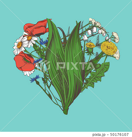 Heart made of hand-drawn flowers and herbs. Vintage vector illustration Heart made of hand-drawn flowers and herbs. Vintage vector illustration 50176107