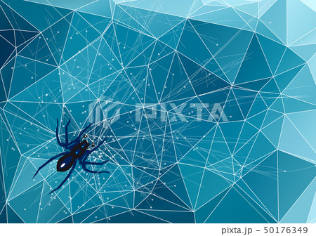 spider on abstract web 50176349