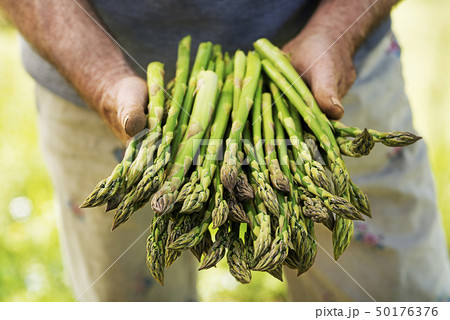 Asparagus 50176376