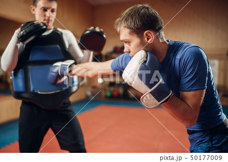 Male kickboxer in gloves practicing hand punch 50177009