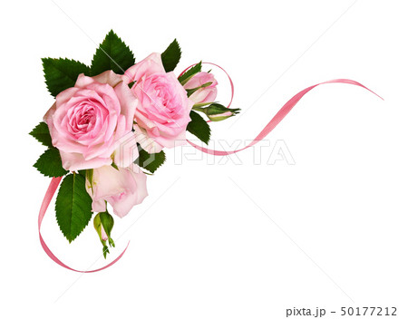Pink rose flowers with green leaves and silk Pink rose flowers with green leaves and silk 50177212