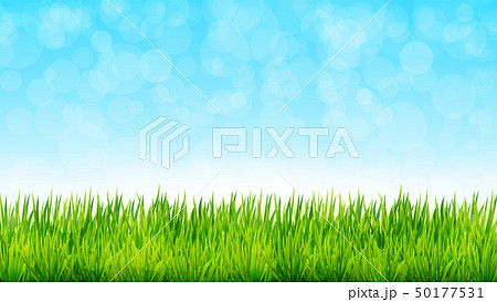 Nature background with green grass and blue sky 50177531