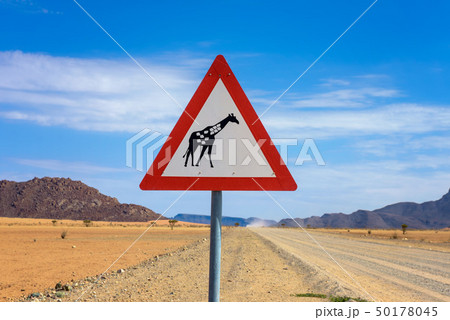 Giraffes crossing warning road sign placed in the desert of Namibia Giraffes crossing warning road sign placed in the desert of Namibia 50178045