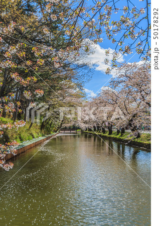 春の弘前城の風景 春の弘前城の風景 50178292