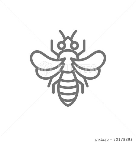 Honey bee, beekeeping line icon. Isolated on white background 50178893