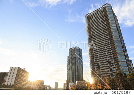 越中島（冬） 50179197