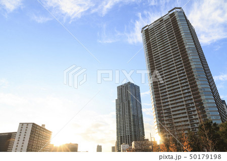 越中島(冬) 越中島(冬) 50179198